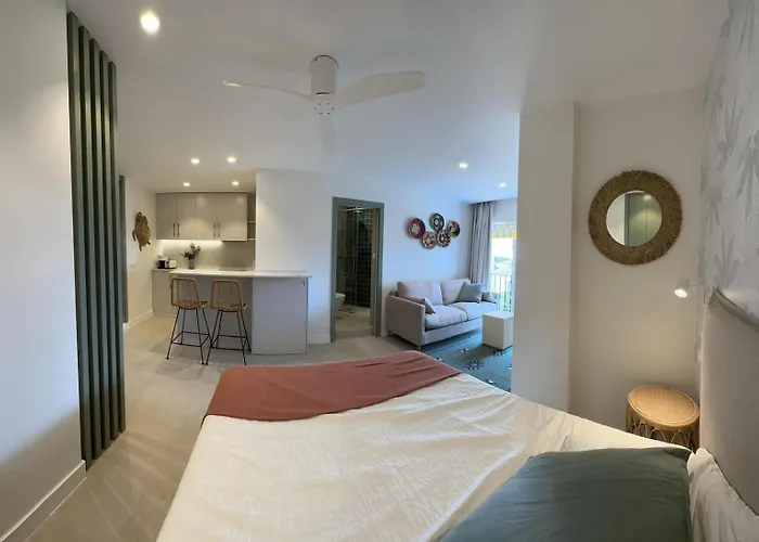 Espectacular Estudio En Puerto Cabopino Recien Reformado